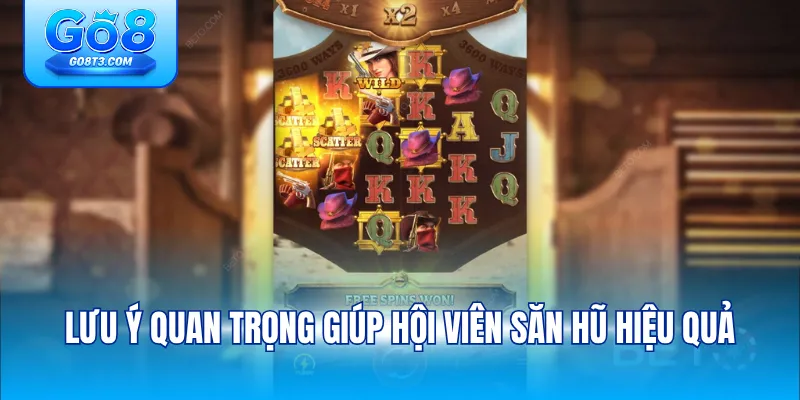 Lưu ý quan trọng giúp hội viên săn hũ hiệu quả